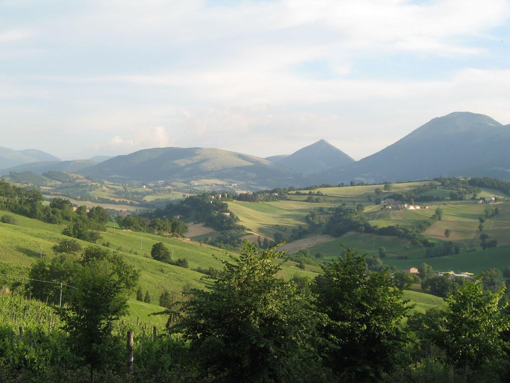 Locanda Dell'Istrice Камерино Стая снимка